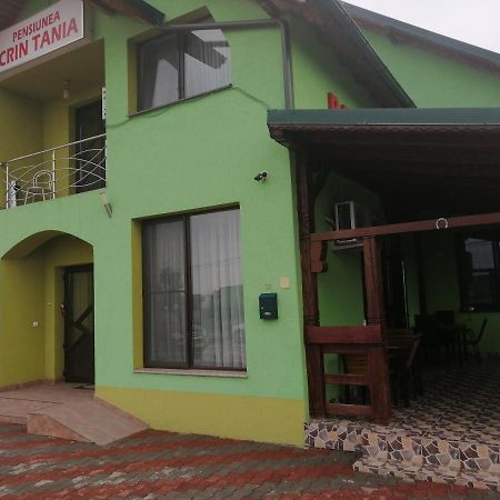 Pensiunea Crin-Tania Mioveni Exterior foto