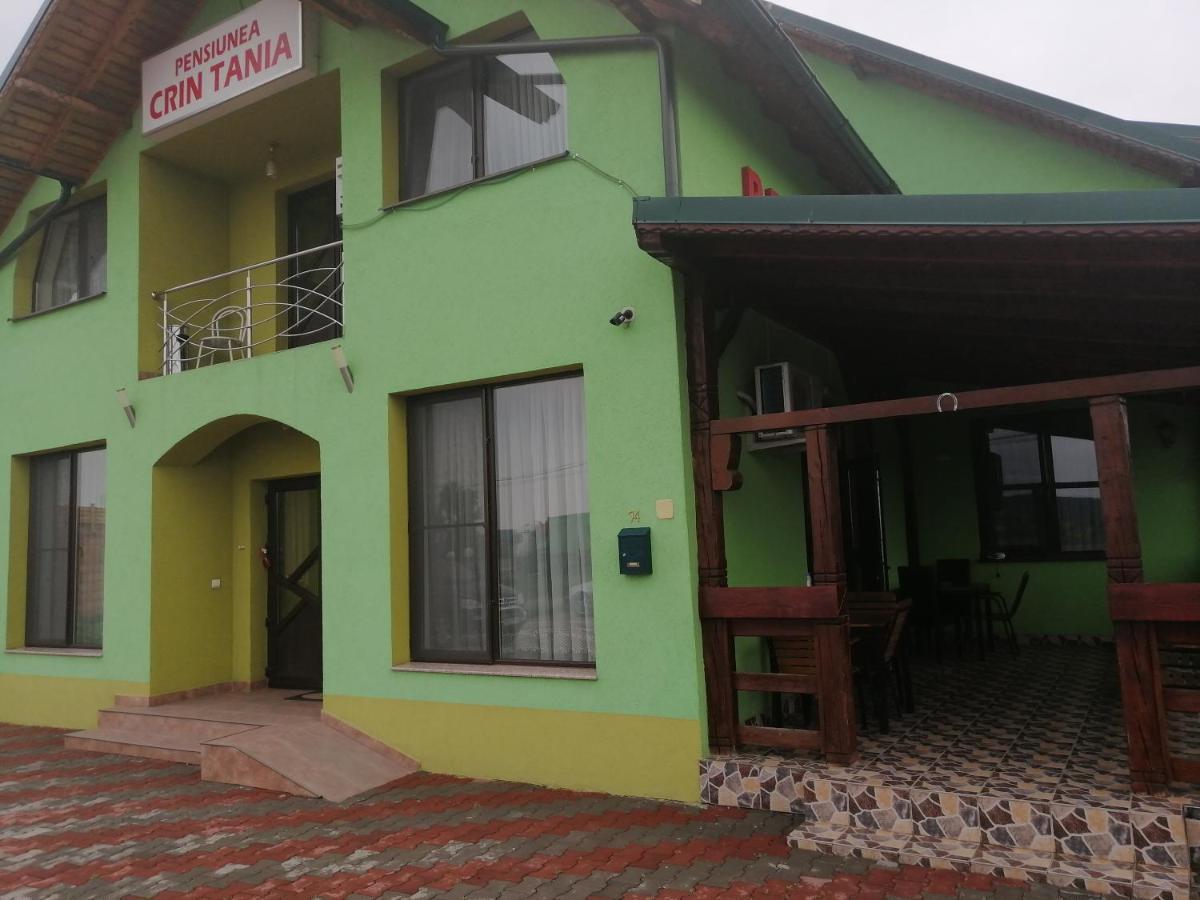 Pensiunea Crin-Tania Mioveni Exterior foto